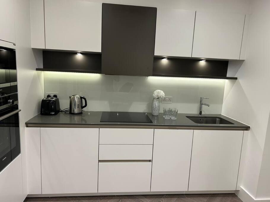 Modern 2 Bedroom Flat Near King'S Cross. Londres Extérieur photo